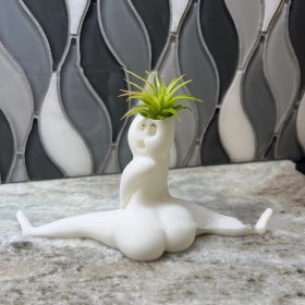 Lively Air Plant Display Ghost Flower Pot