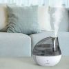 Ultrasonic Cool Mist Humidifier, Silver