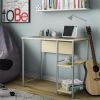 Metal Student Computer Desk